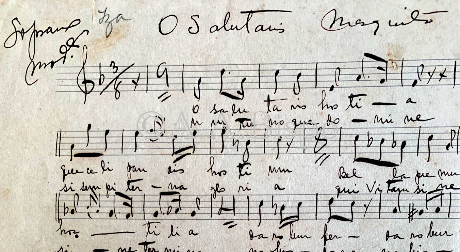 Cópia de O Salutaris Hostia de uso em igrejas de S. Paulo e do vale do Paraíba. Acervo A.A.Bispo. Copyright